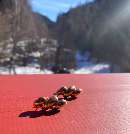 TORTIGLIONI earrings